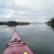 Priscilla Howes's photo