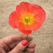 Leah Churner's photo