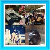 Penny Lane Farms's photo