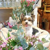 Denise Burich-Smith's photo