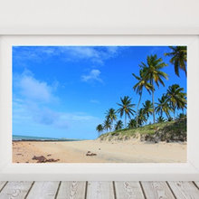 Summer sky and beautiful beach, white sands and tranquility - RN, Brazi