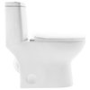 Ivy One Piece Toilet, 10" Rough-In