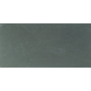 MSI S1224G 12" x 24" Rectangle Floor and Wall Tile - Textured - Montauk Blue