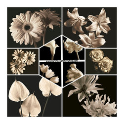 Wake Up Your Walls With Art - Products