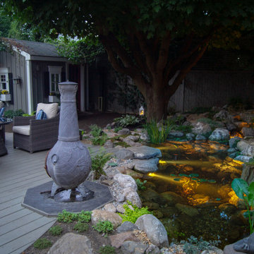 Urban Oasis