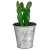 5" Tropical Mini Artificial Cactus in Tin Pot