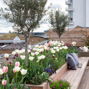 Transitional rooftop garden in London with a container garden.