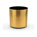 American Essence Odessa 10.5"x10", Brushed Gold