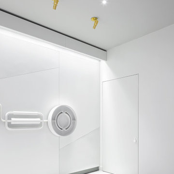 The EzyJamb allowing the door to appear hidden.