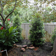 fence