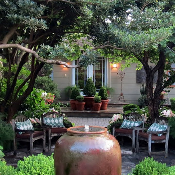 Zero Lawn Xeriscape - Return of the Native