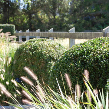 Plantings
