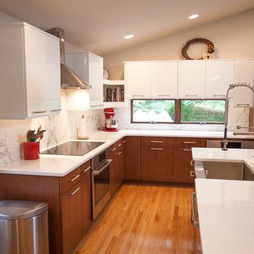 Contemporary Renovation