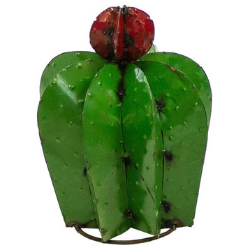 Cactus Biznaga Garden Decor