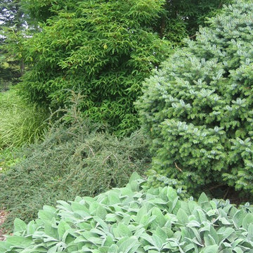 Formal Country Garden