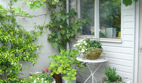 11 Easy Budget-friendly Ideas for Your Garden