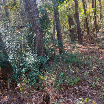 Landscape and Outdoor Property Improvement