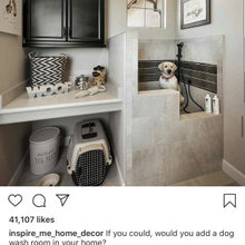Dog Bath