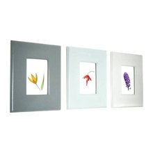 picture frames