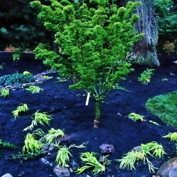 Edgecliff Estates Permeable Patio w/Rain Garden Makeover