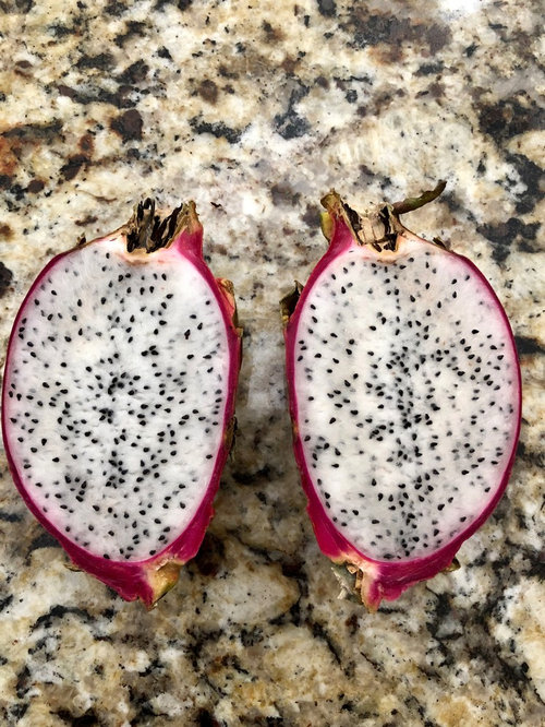 Dragon fruit from seeds Dragon fruit from seeds