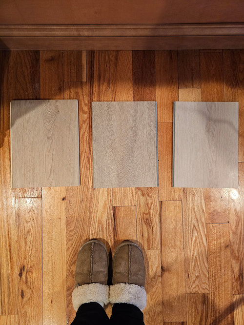 Provenza Road Trip or Paradigm Conquest Estate