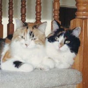 Patricia Masters's photo