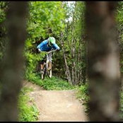 Martin Koitrands foto