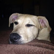 Robert Merrett's photo
