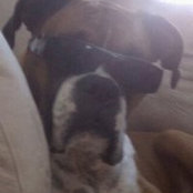 Brian Golatka's photo
