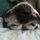 kathy_braun
