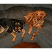 Sheri Harnett's photo