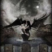 Wendi Wojdak-Harris's photo
