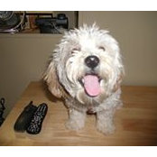 Mark Walkner's photo