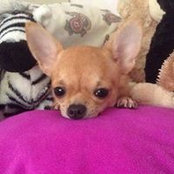 Pamela Gavrun's photo