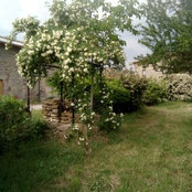 Colle del Castellano's photo