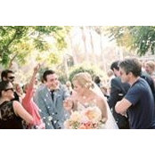 Allison Beal's photo