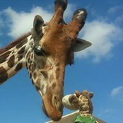 Michaela Wells's photo