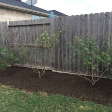 Stratis7232 Garden