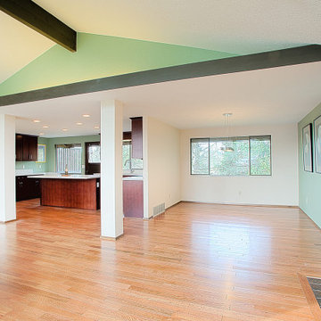 Kent Split Level Whole House Remodel