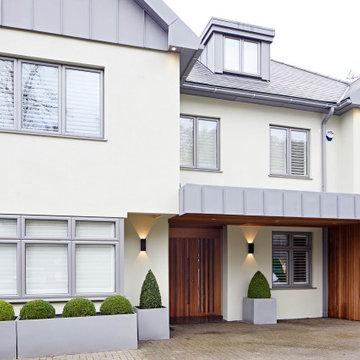 Ridge Front Door Design - Contemporary home