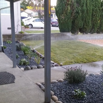 New Front Yard. Grass, Planting and Pebbles in San Pablo CA