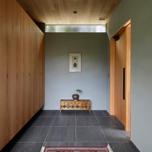 他の地域の片開きドアモダンスタイルのおしゃれな玄関ホール (グレーの壁、木目調のドア、グレーの床) の写真
