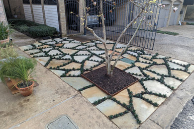 Imagen de jardín de secano de estilo americano de tamaño medio en patio con adoquines de piedra natural