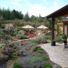gavvy2000's vista backyard