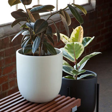 Case Study Small Bullet Planter