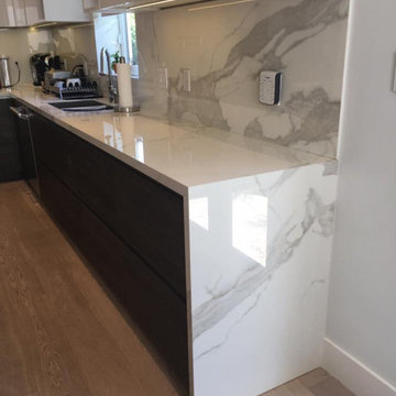 Contemporary Flat Panel Kitchen