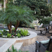 Backyard/Garden Ideas