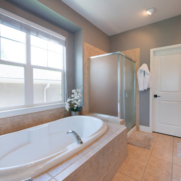 Master Bath - After Remodel -  Fabulous and Functional