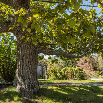 Cape House: State Highway, Eastham MA